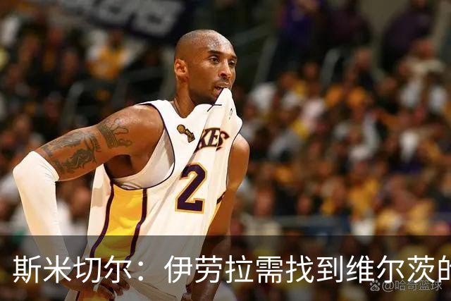 斯米切尔：伊劳拉需找到维尔茨的最佳位置，让他踢左边锋是浪费钱