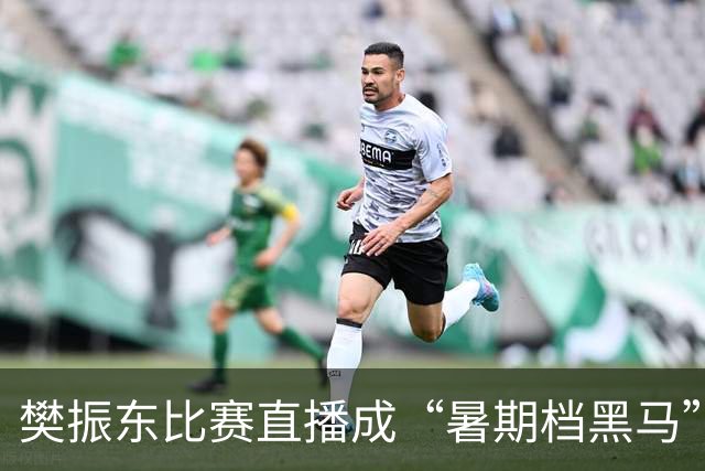 樊振东比赛直播成“暑期档黑马”：德国杯直播单场票房破百万，有球迷跨城观战