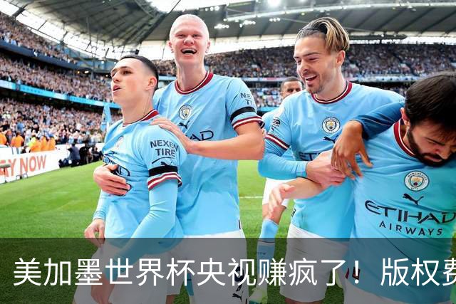 美加墨世界杯央视赚疯了！版权费仅6000万美元，收入或破80亿大关