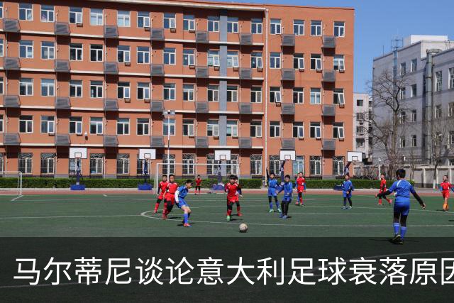 马尔蒂尼谈论意大利足球衰落原因，米兰旧将加利发文反驳